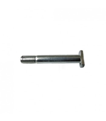 NV253 - T Bolt - M6 x 55mm