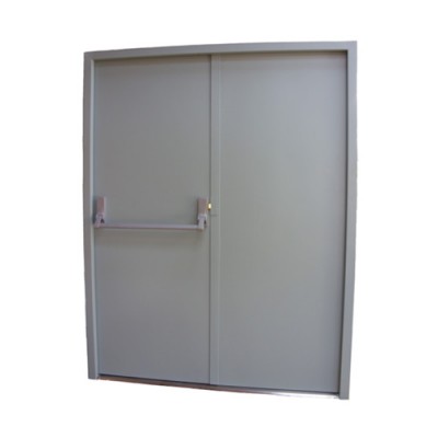 DFS4/5 - Stocked Double Fire Exit Door