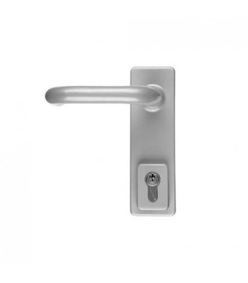 DHL010 - Briton 1413 Outside Access Divice with Euro Profile & D Handles